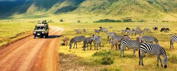 safari en Tanzanie